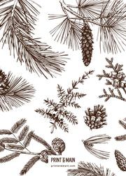 Love – Winter Plants