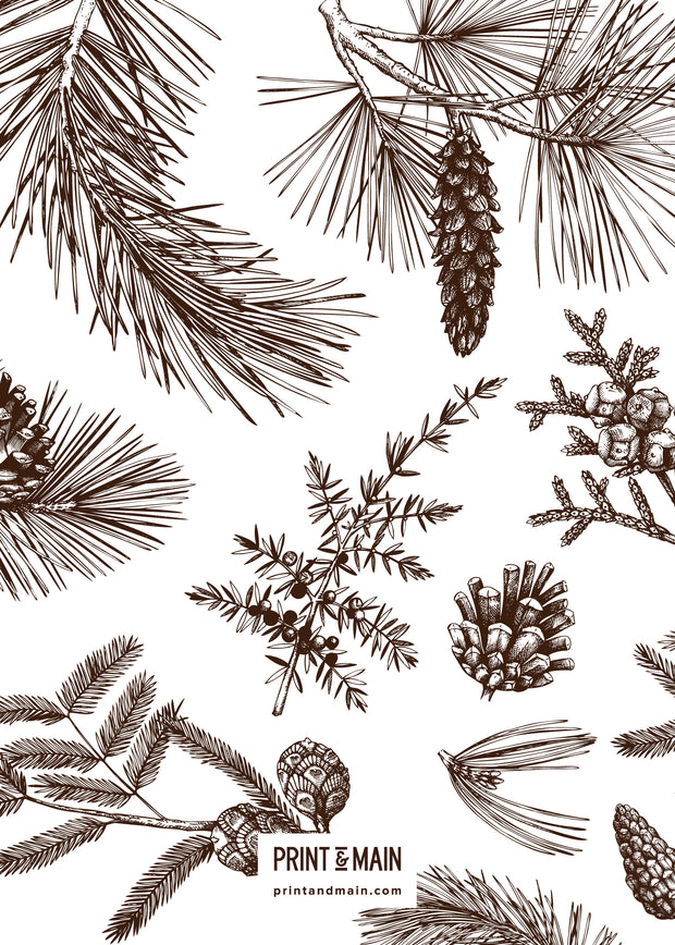 Love – Winter Plants