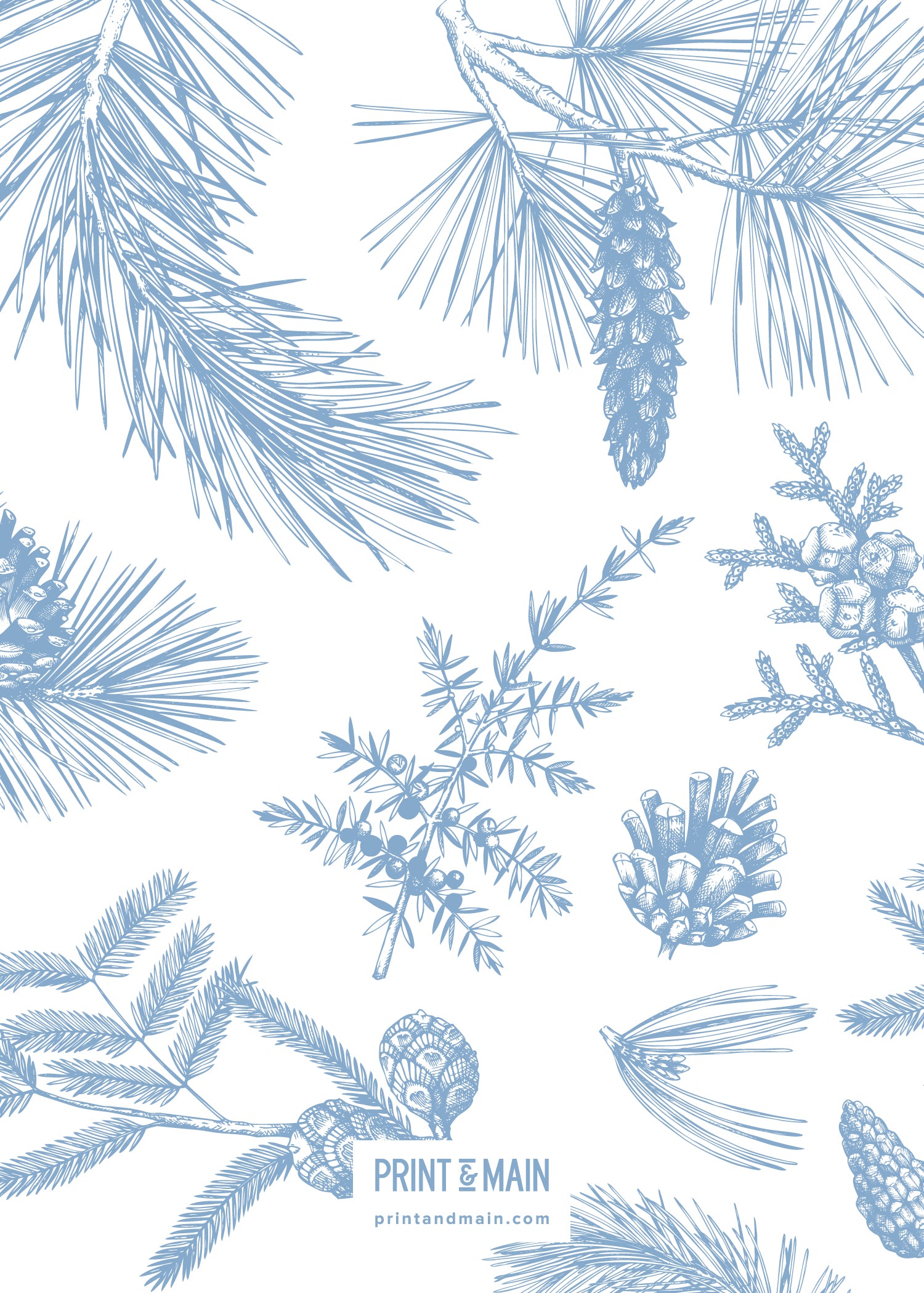 Love – Winter Plants