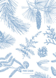 Love – Winter Plants