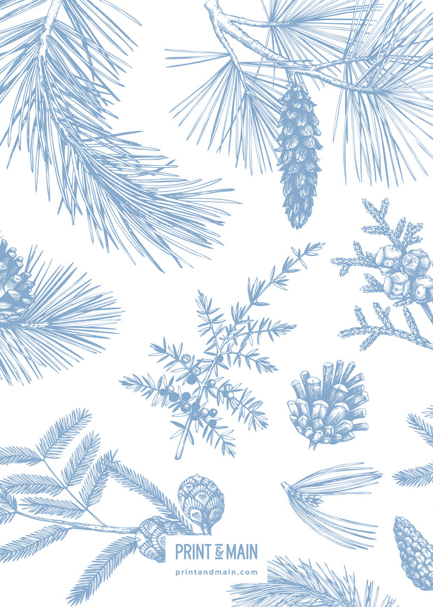 Love – Winter Plants