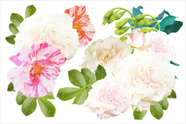Bee Party Decor Pack
