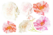 Bee Party Decor Pack
