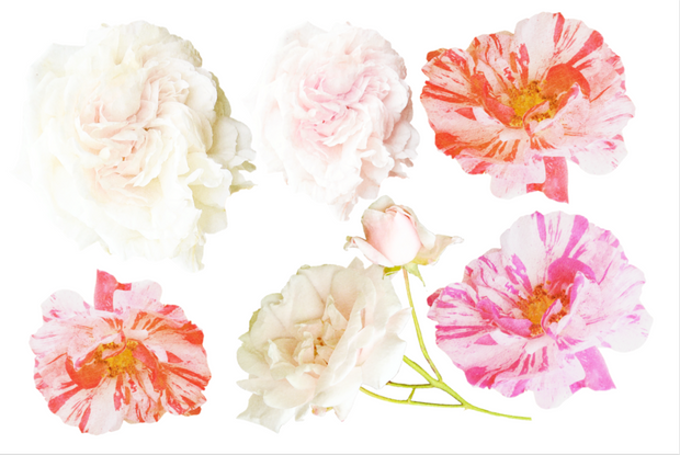Bee Party Decor Pack