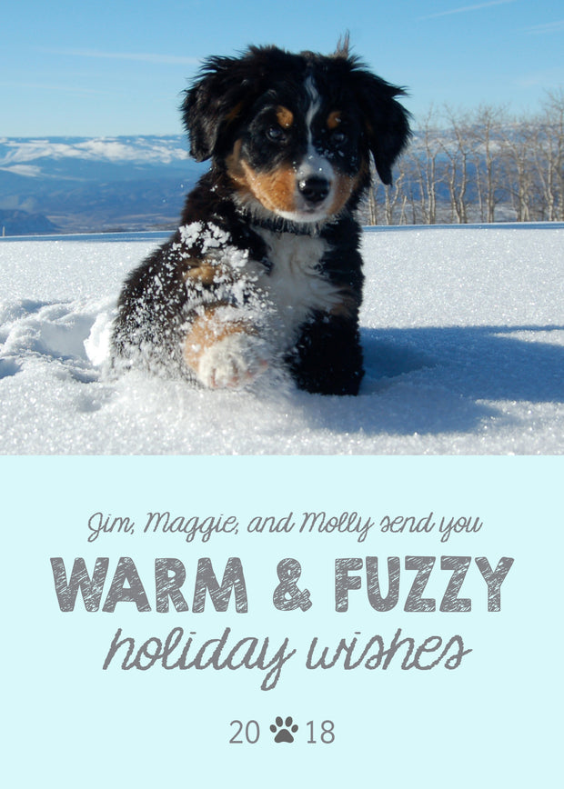 Warm and Fuzzy Holiday Wishes