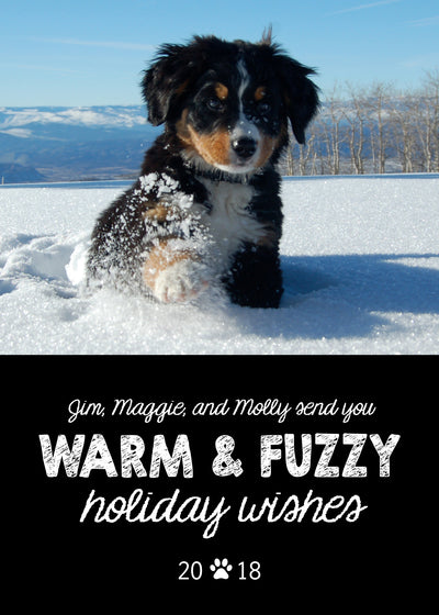 Warm and Fuzzy Holiday Wishes