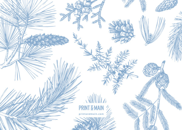 Merry – Winter Plants